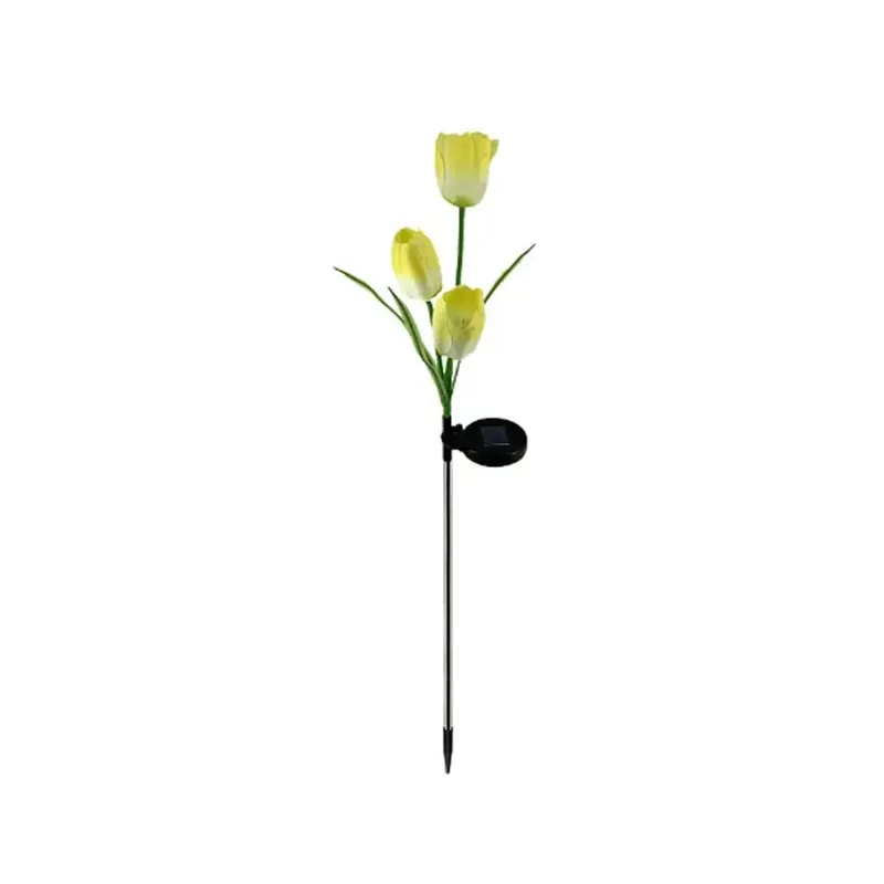 150296_y.jpg